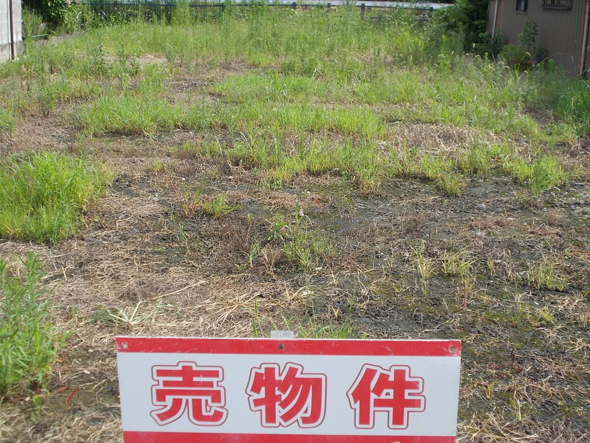売れない土地の問題解決！価格設定や交渉術を活用して売れる土地に変える方法