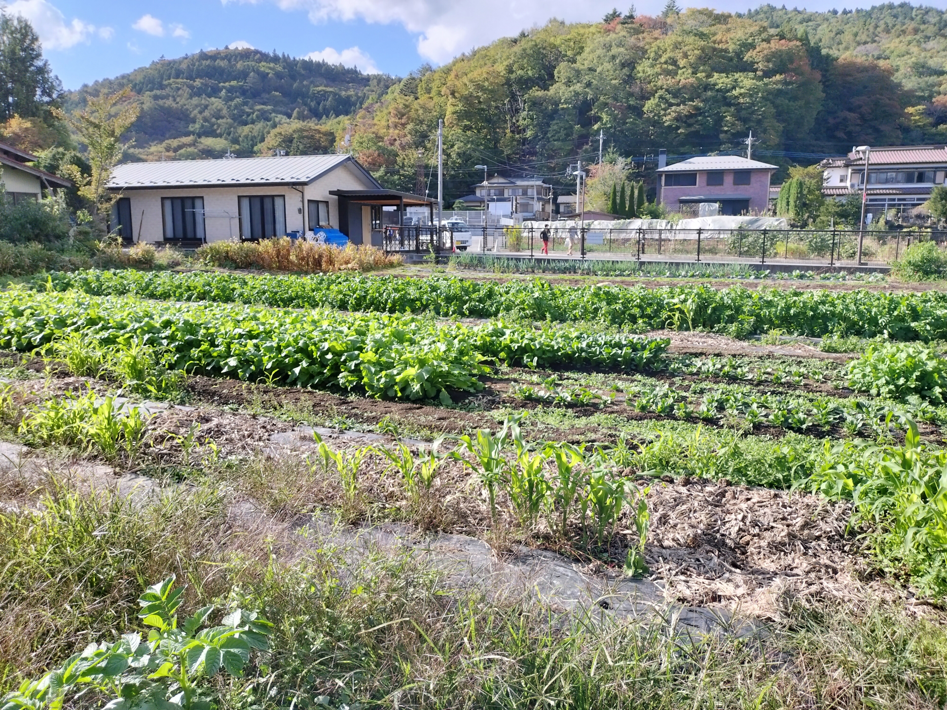 田舎の土地の相続で困らないために知っておくべき手続きと活用のポイント