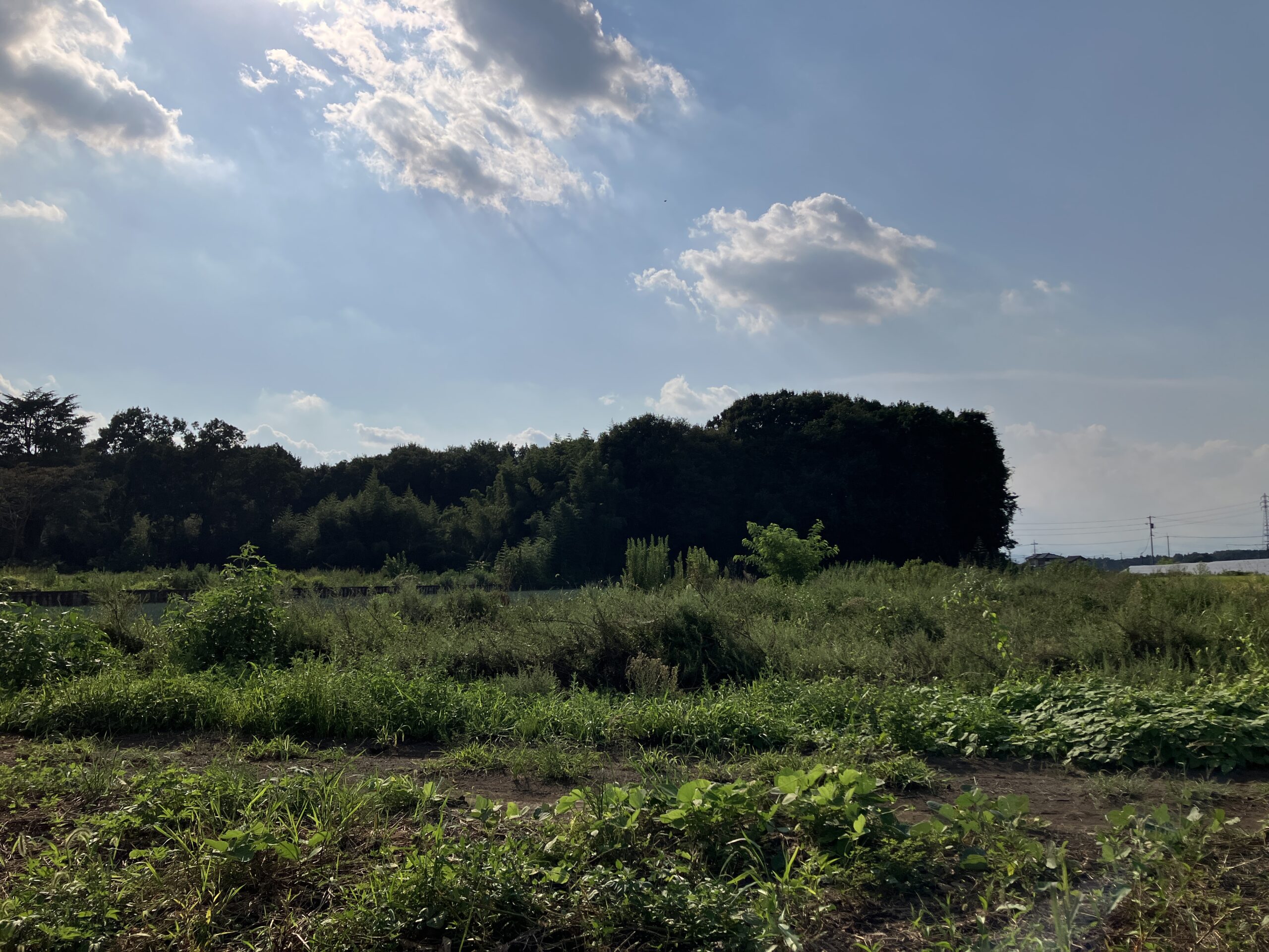 栃木県の土地