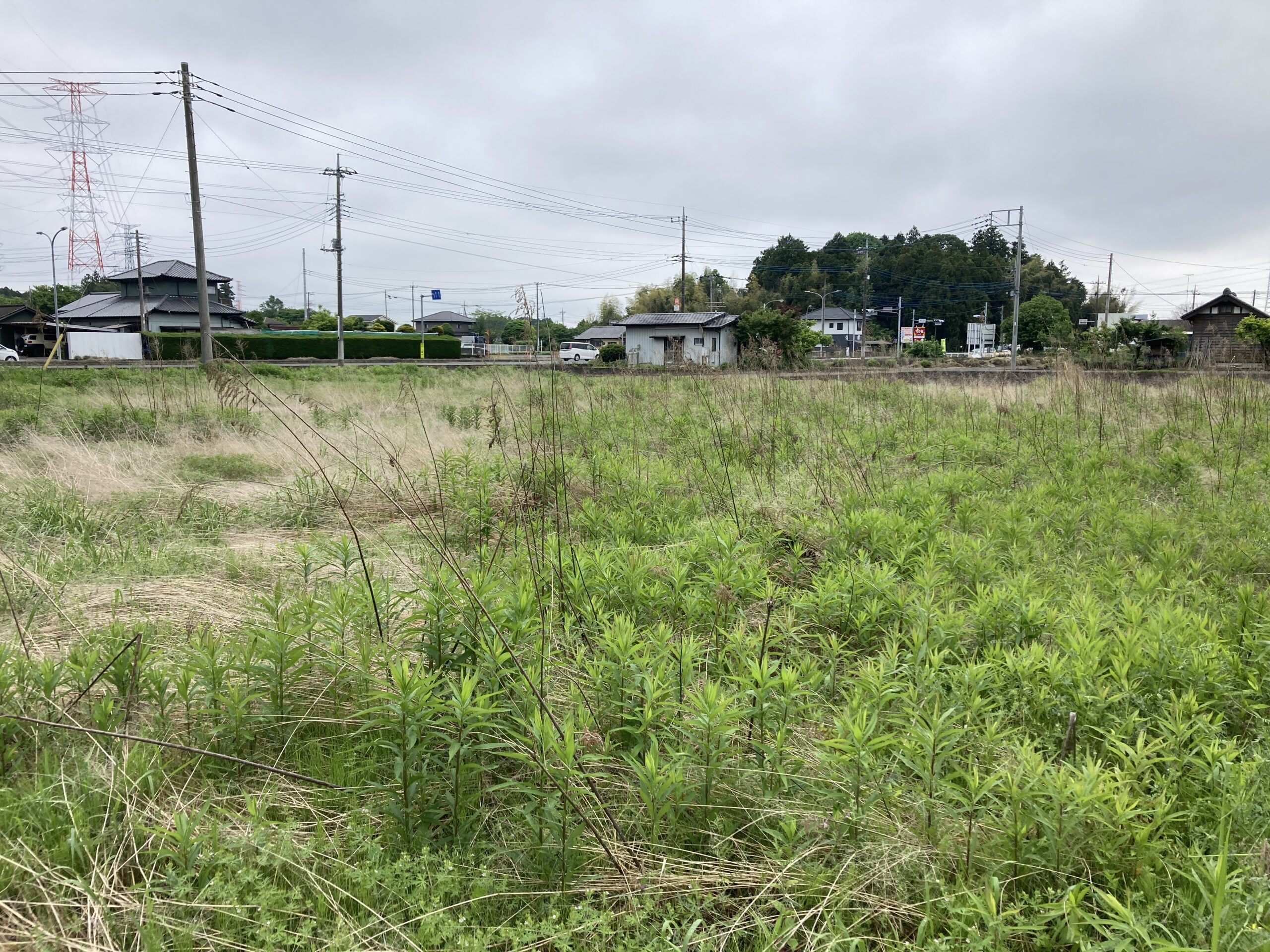 茨城県の土地