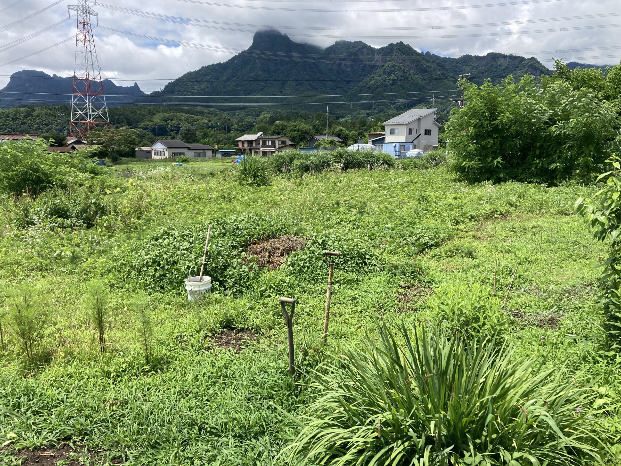 群馬県の土地売却相場と農地・山林・原野・雑種地等の高額買取実績-2025年
