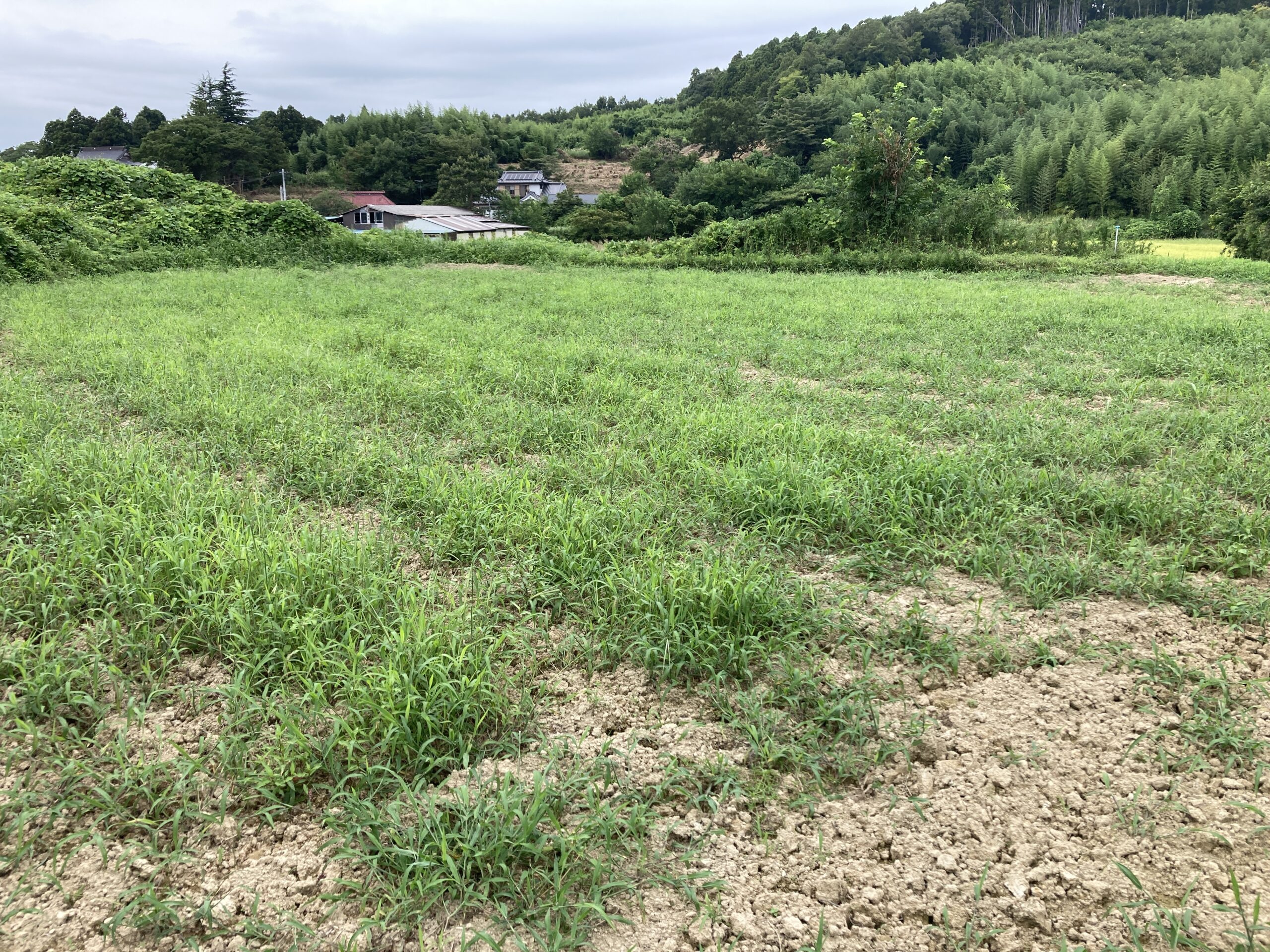 宮城の土地
