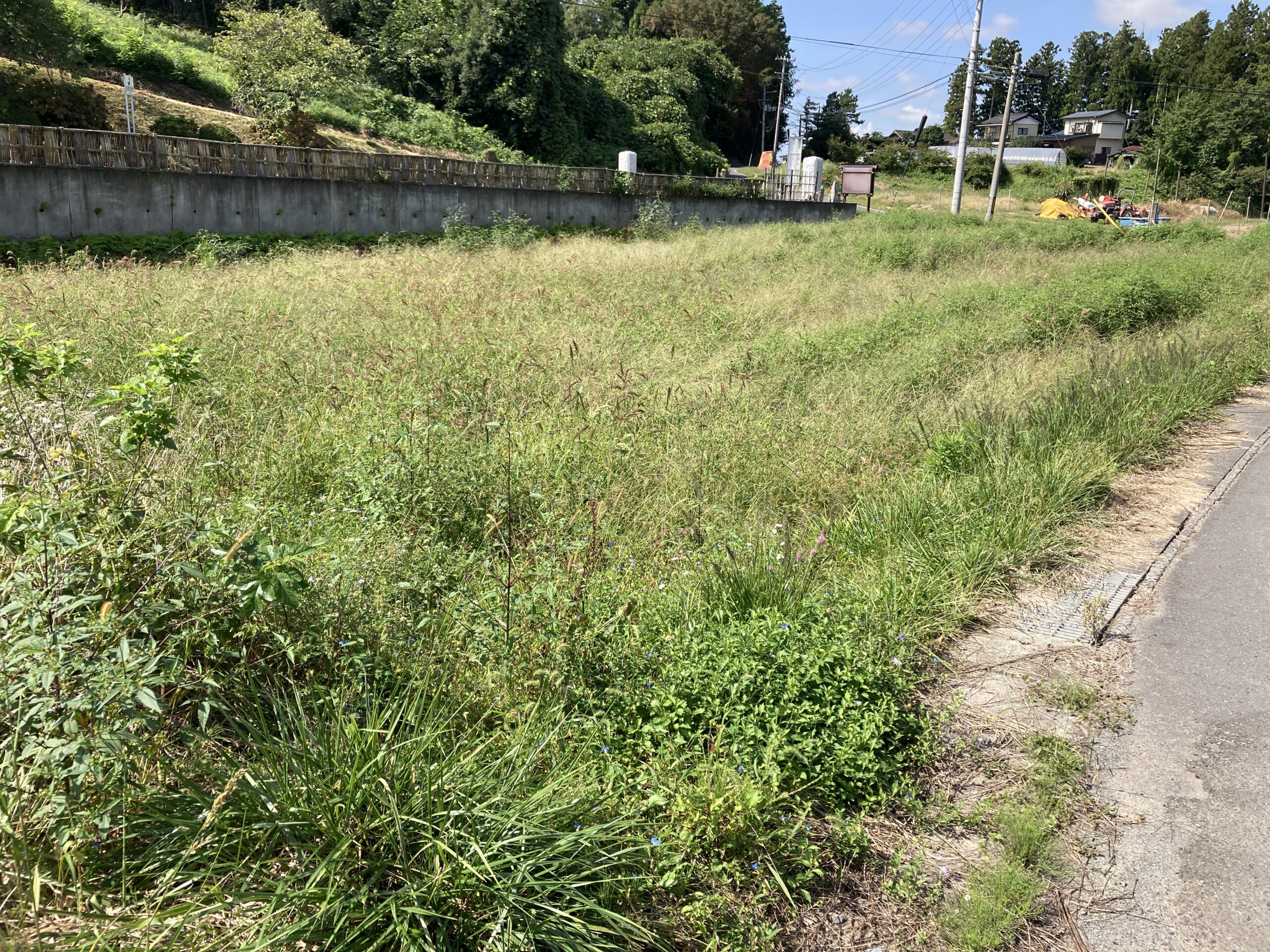 宮城の土地2