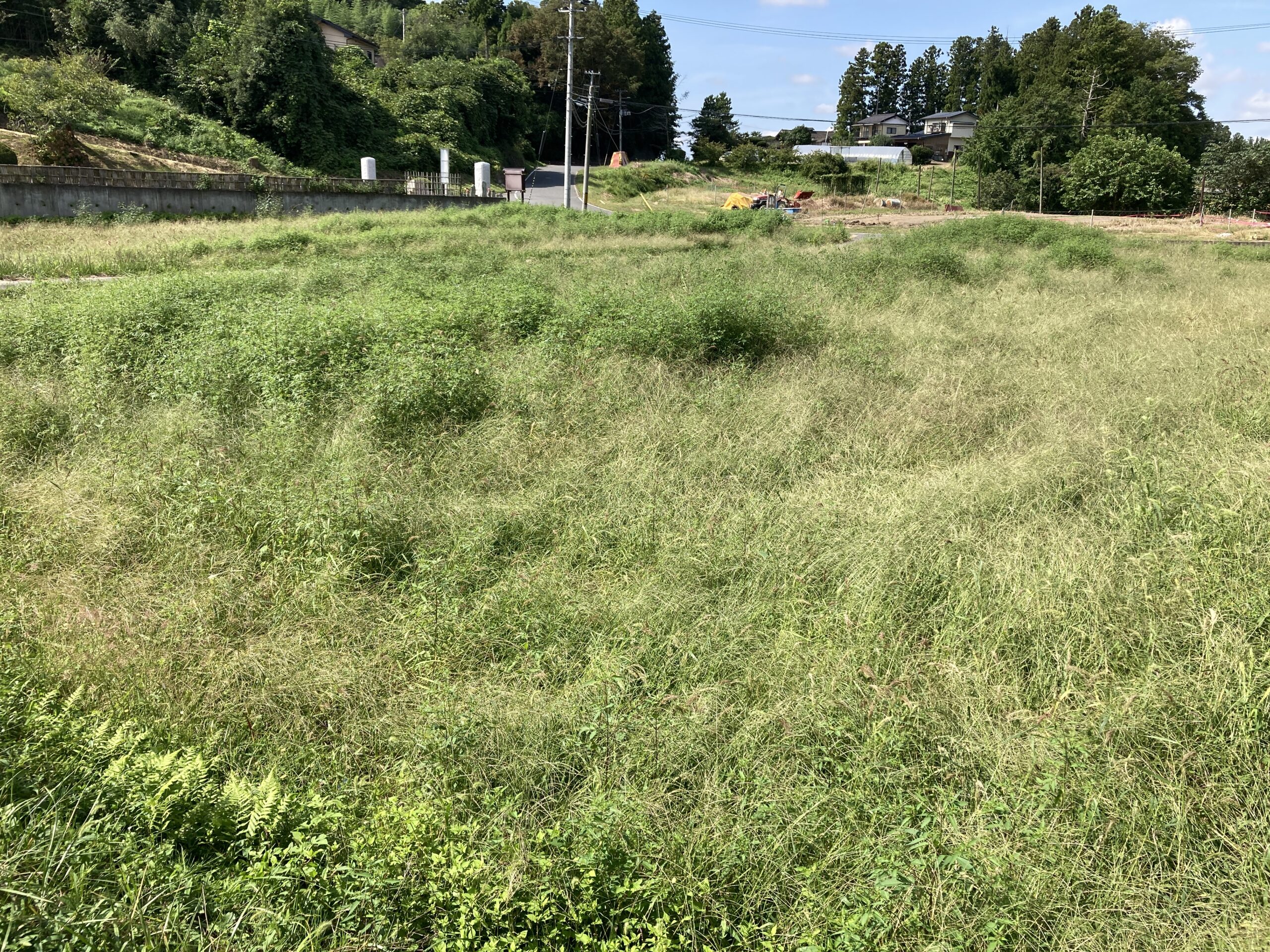 宮城の土地4
