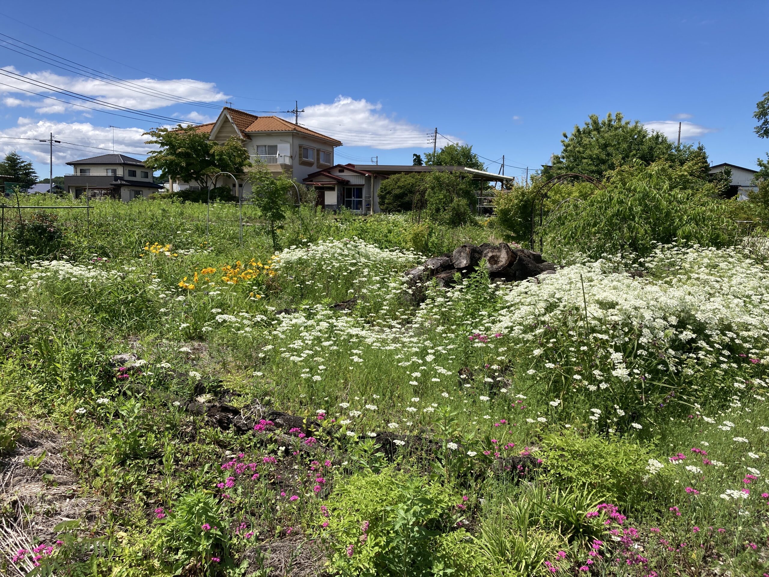 栃木県の土地