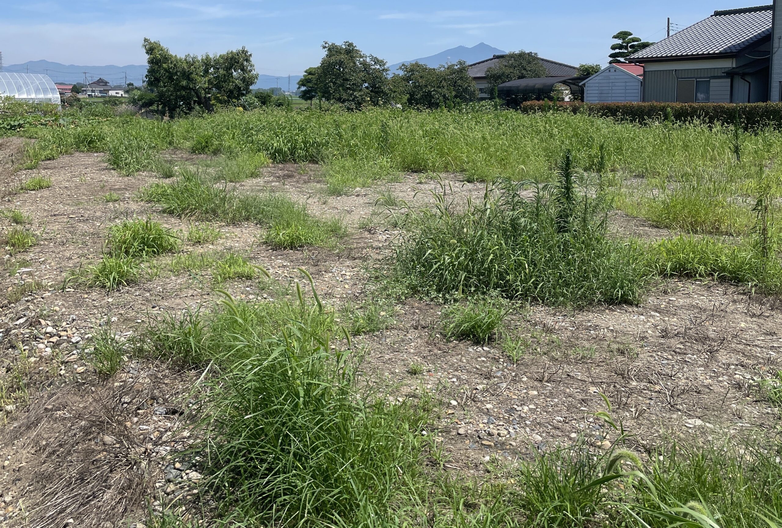 茨城県の農地