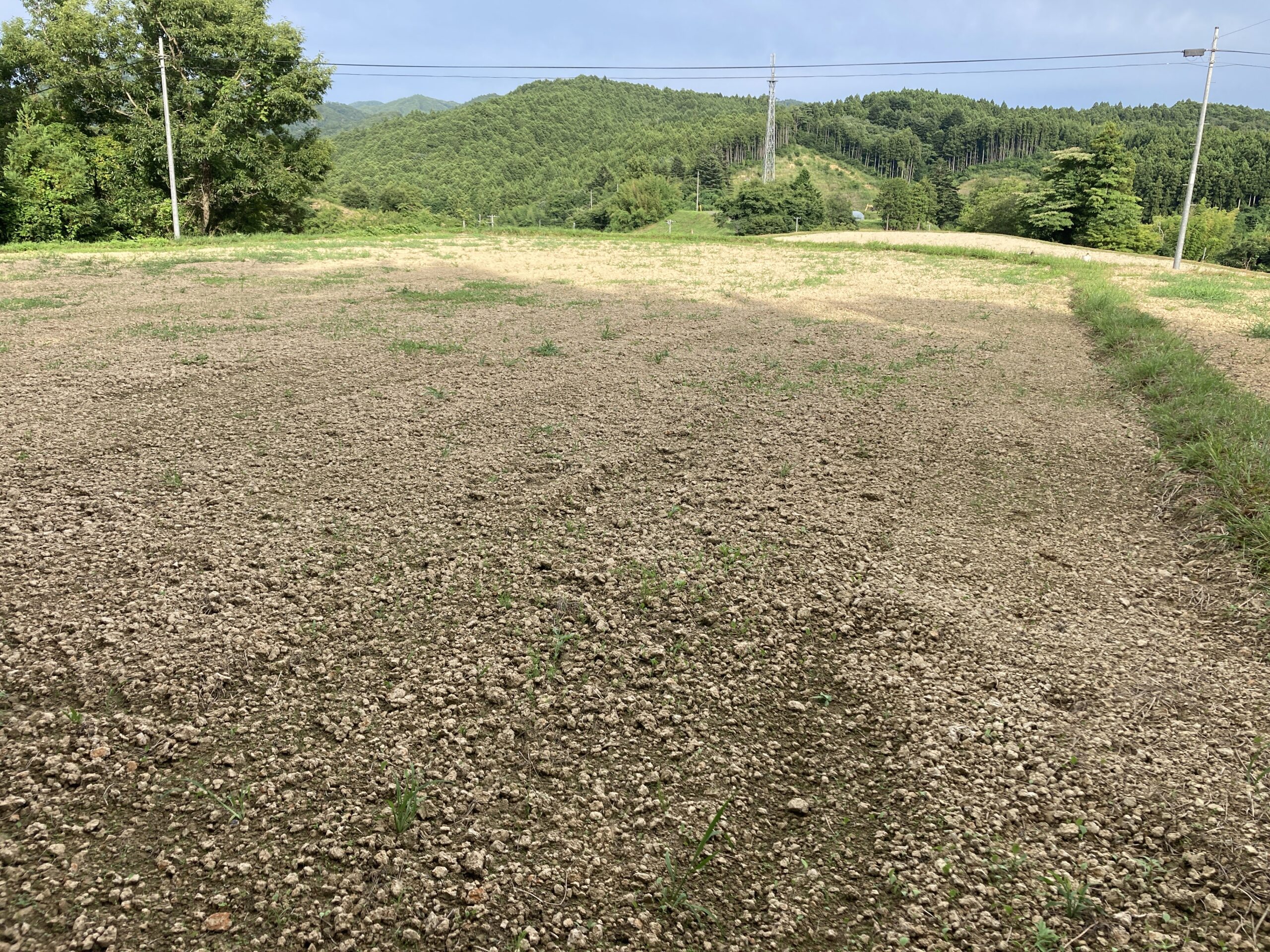 宮城県の土地売却相場と農地・山林・原野・雑種地等の高額買取実績-2025年