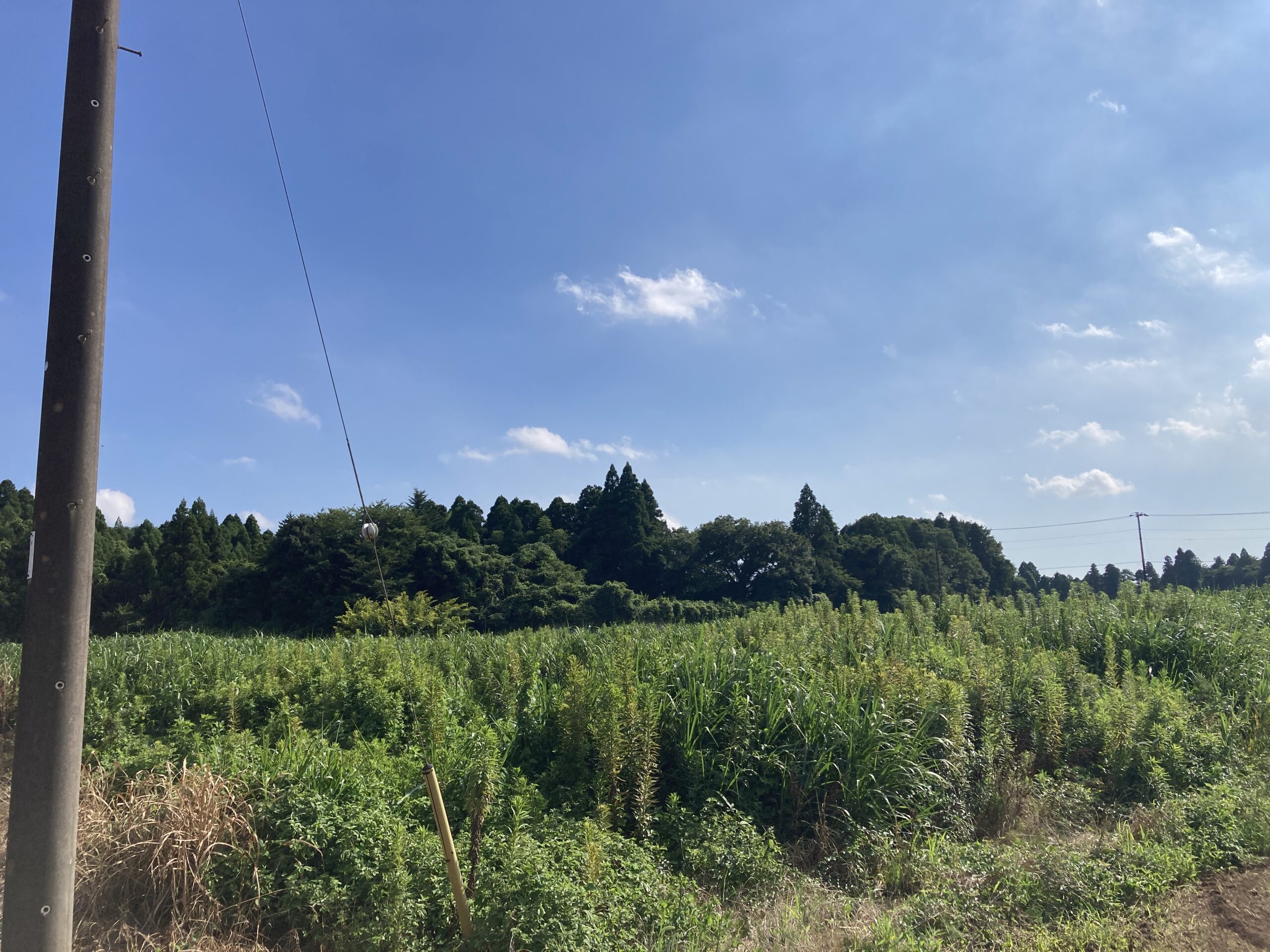 千葉県の土地売却相場と農地・山林・原野・雑種地等の高額買取実績-2025年