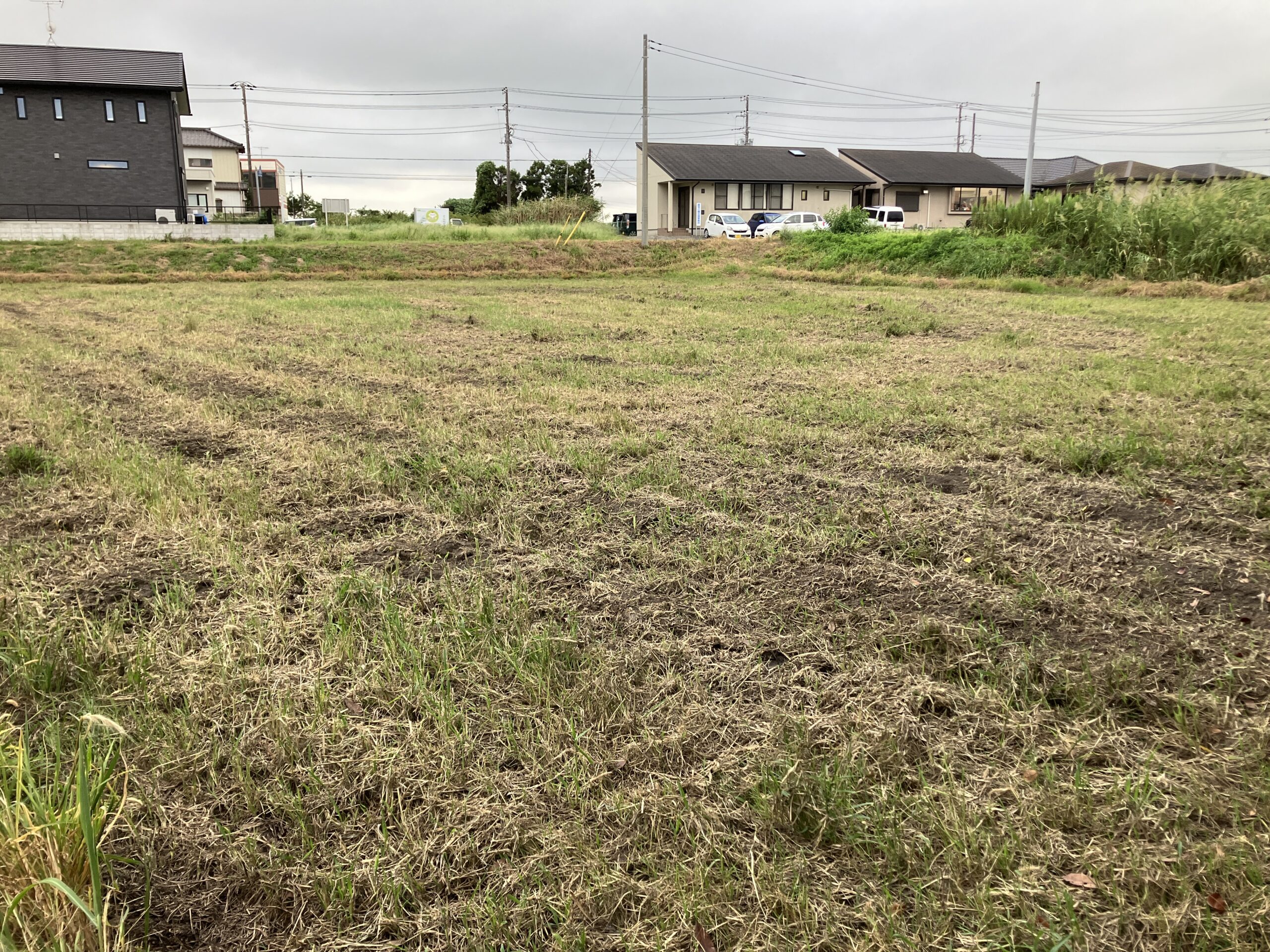 千葉の土地2