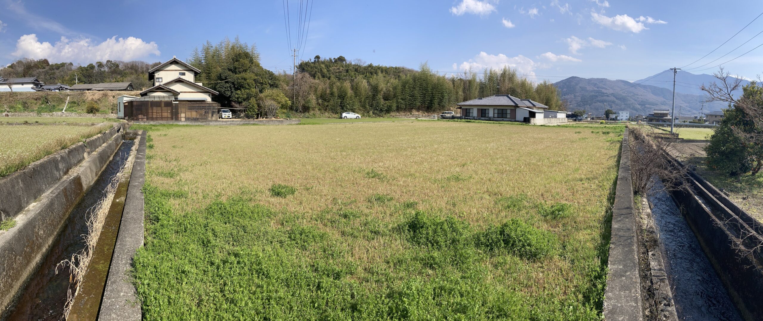 徳島県の土地売却相場と農地・山林・原野・雑種地等の高額買取実績-2024年