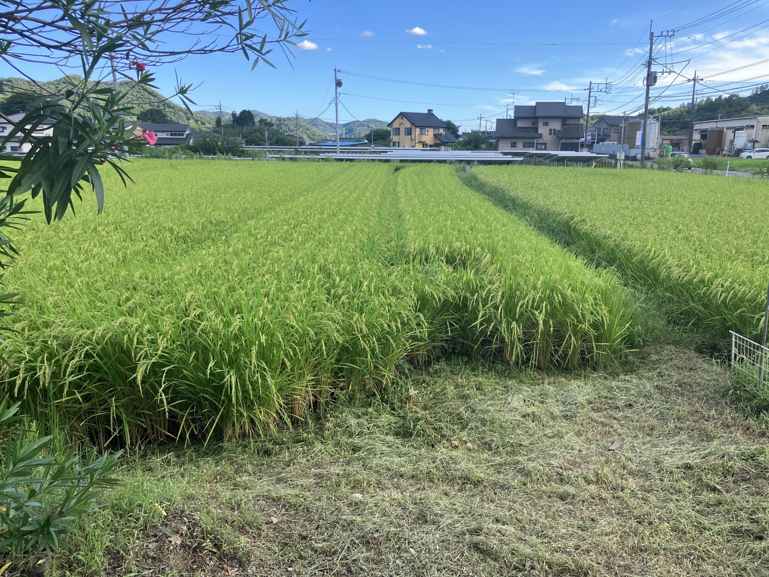 土地活用