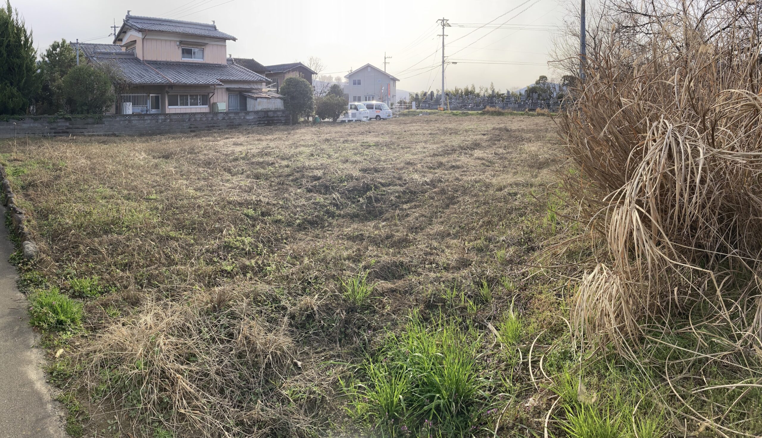 休耕地とは？耕作放棄地との違いや土地の再生方法や売却について解説します