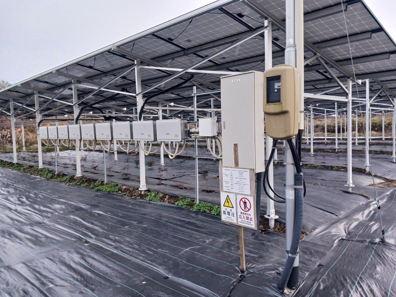 太陽光発電のRPR（逆電力継続器）とは