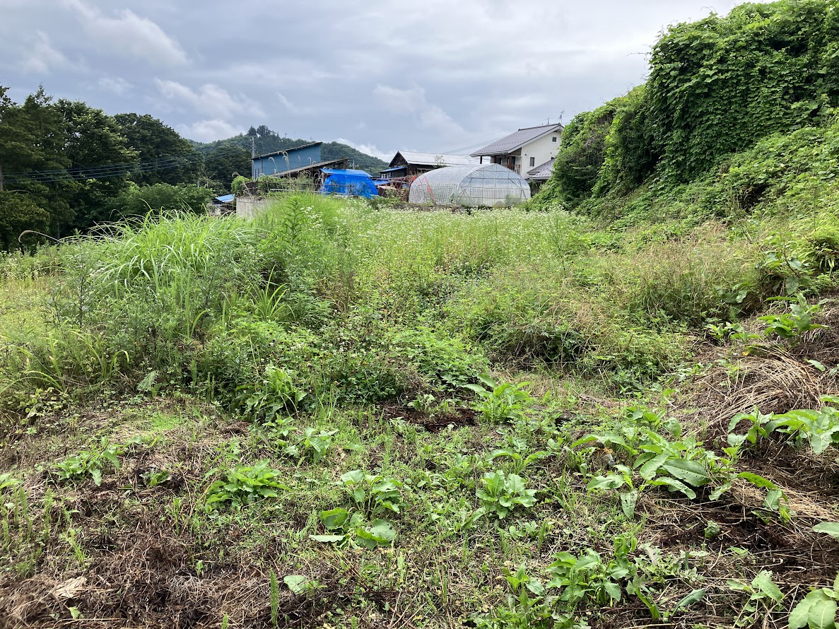 使わない土地の活用