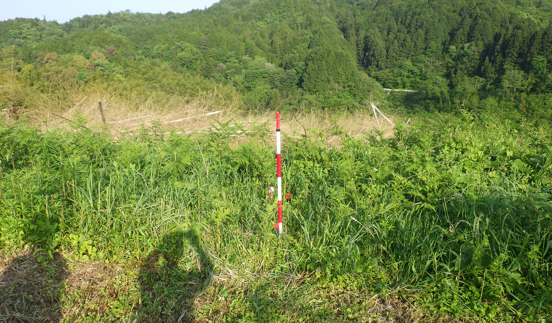 土地条件を調べる
