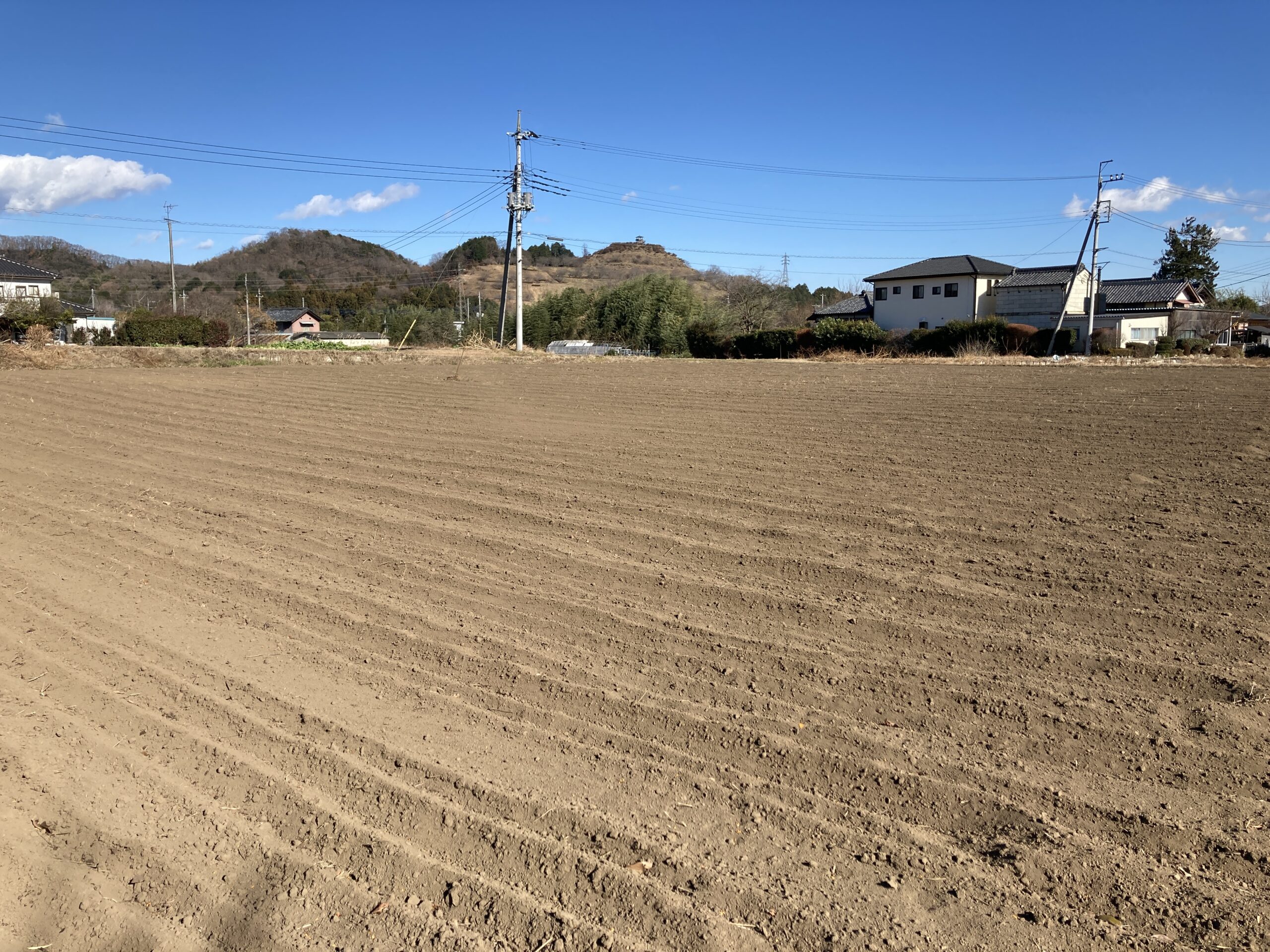 太陽堂の太陽光発電は本当に安心？評判や口コミから見るメリット・デメリットと選び方