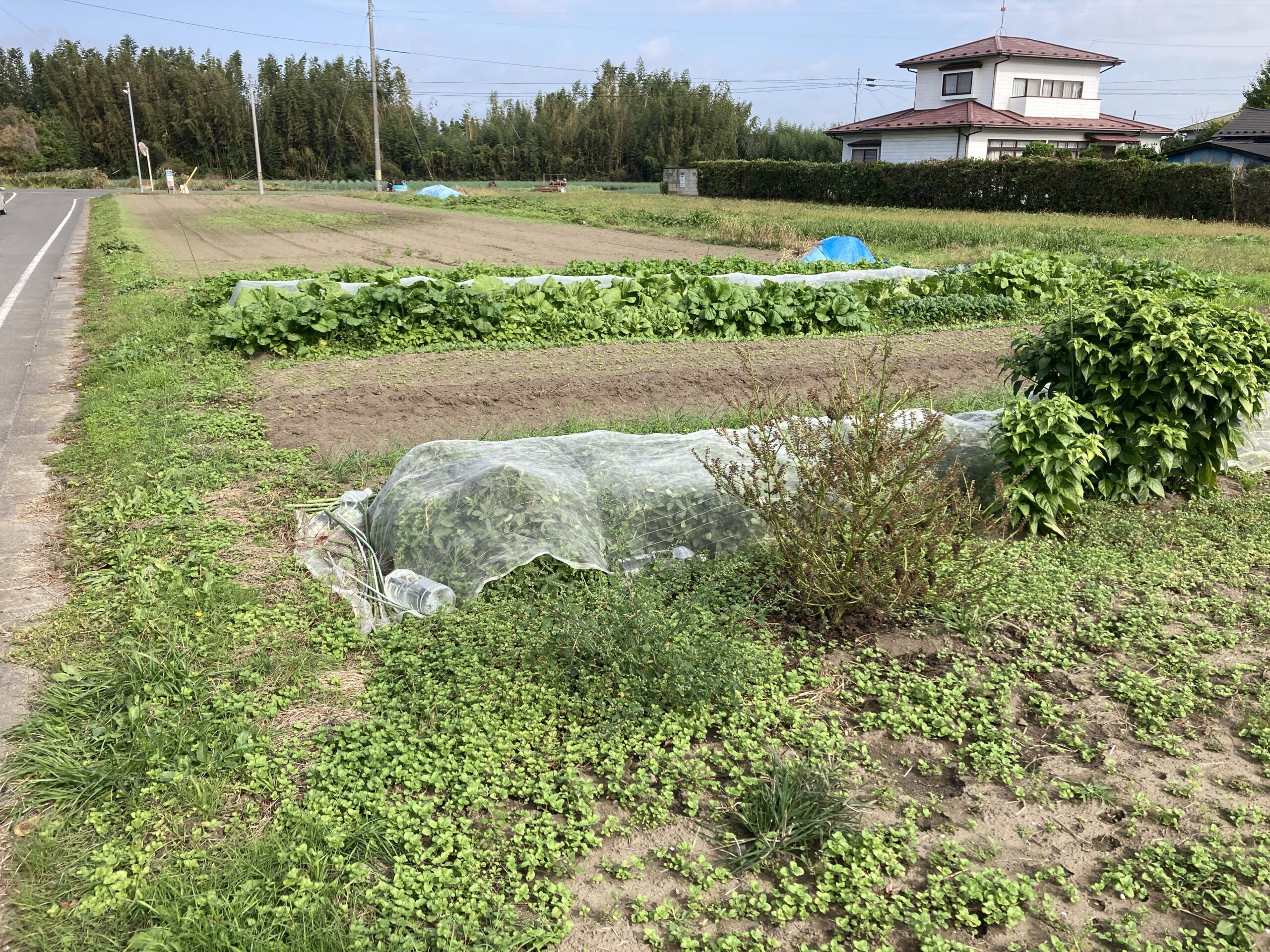 群馬県太田市の土地取引事例と農地・山林・原野・雑種地の価格相場と売却相談の流れを解説